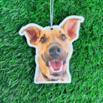 Personalized Photo Gift Air Freshener