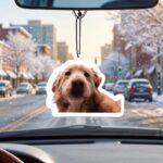 Personalized Photo Car Freshener